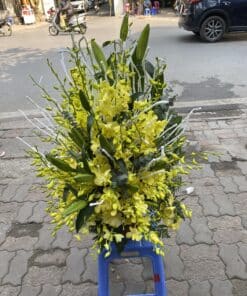 chau hoa tang le HTL25