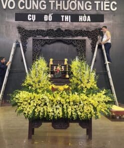 hoa tang le HTL12