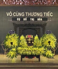 hoa tang le HTL13