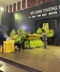 hoa tang le HTL4