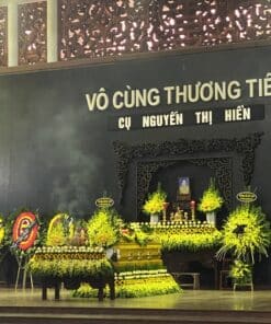 hoa tang le HTL6